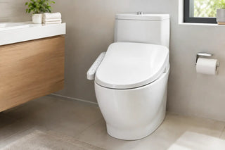 Bidet Seat Review: Comfort Worth Renovating For