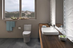 Aqua IV Skited Toilet 1.28 GPF & 0.8 GPF, Elongated Bowl - Universal Height